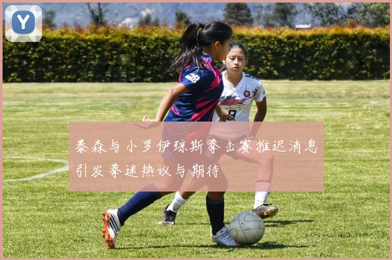 泰森与小罗伊琼斯拳击赛推迟消息引发拳迷热议与期待