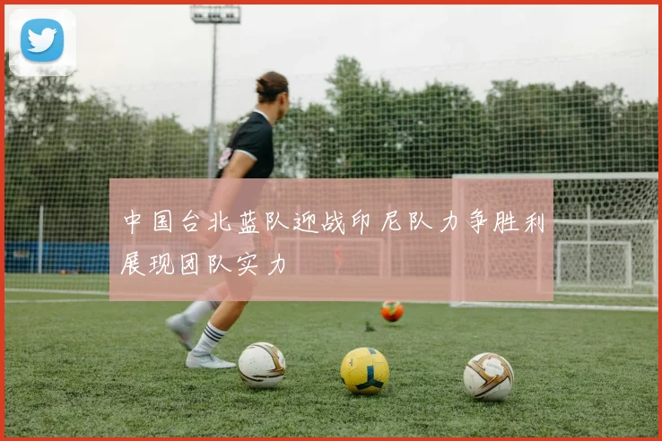 中国台北蓝队迎战印尼队力争胜利展现团队实力