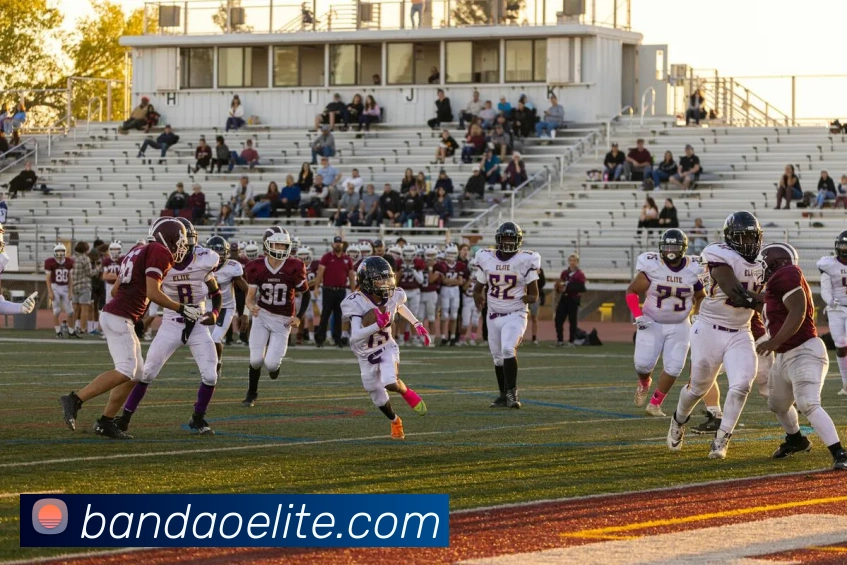 半岛体育发展历程